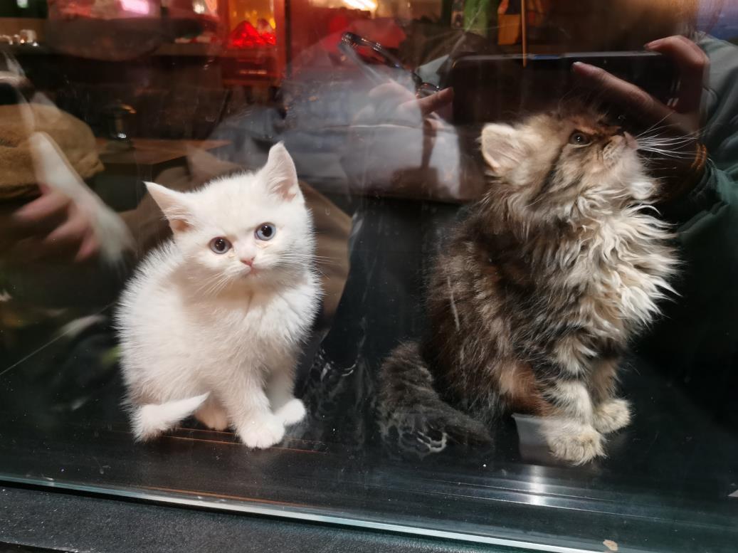 重慶酒吧裝修效果圖：裝修很漂亮獨特的一家酒吧