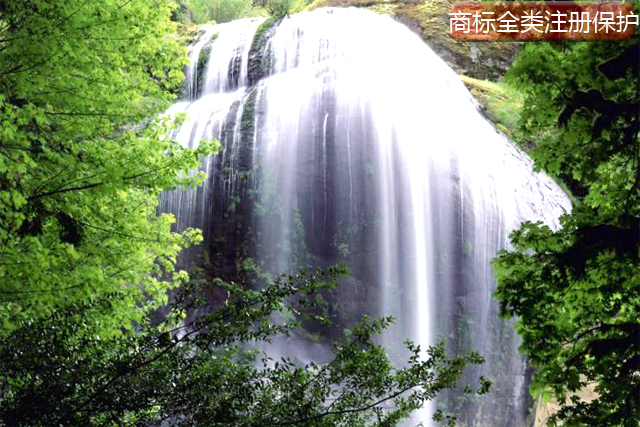 商標(biāo)全類注冊保護(hù)