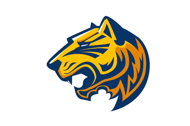 商標查詢怎么收費，商標查詢價格貴嗎?